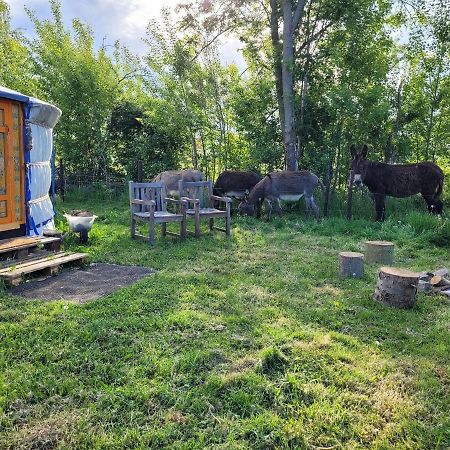 Slapen Tussen De Ezels In De Yurt Hotel อาร์ช็อท ภายนอก รูปภาพ