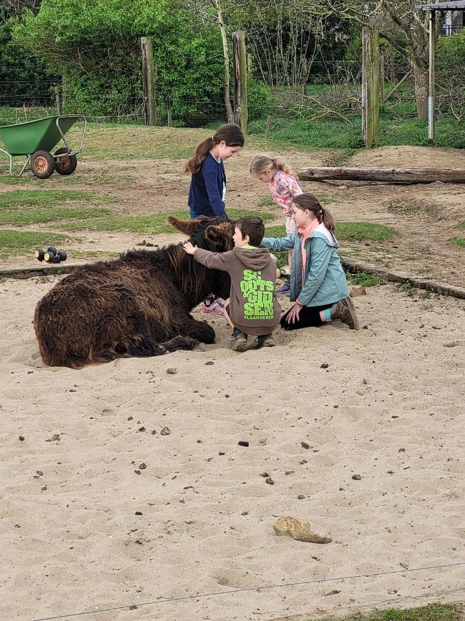 Slapen Tussen De Ezels In De Yurt Hotel อาร์ช็อท ภายนอก รูปภาพ